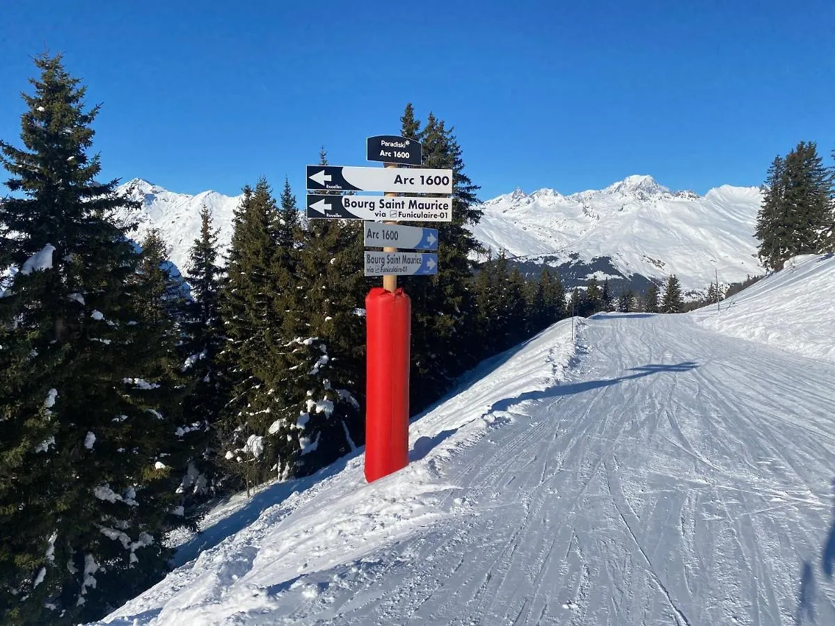 Appartement Les ARCS 1600 - SKI AUX PIEDS - MAGNIFIQUE DUPLEX 12 PERSONNES Bourg-Saint-Maurice
