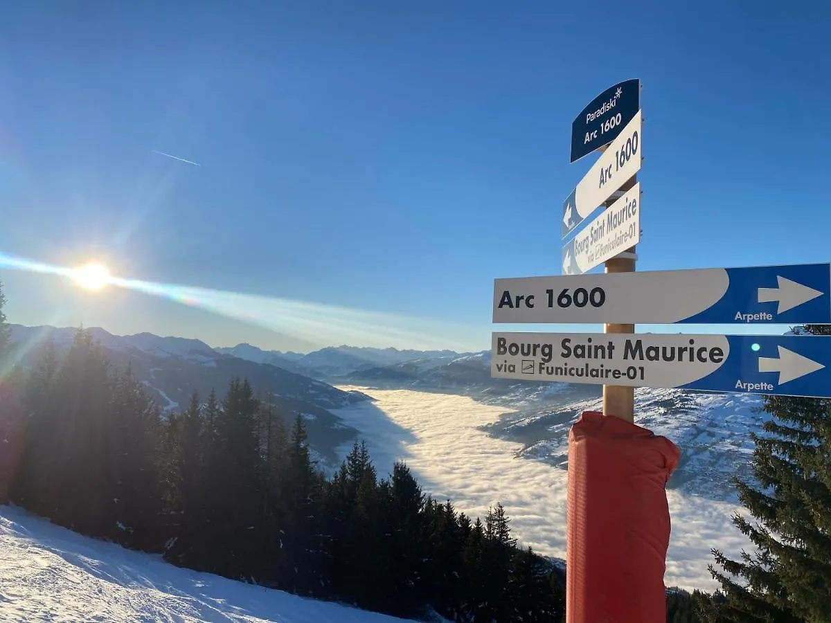 Les ARCS 1600 - SKI AUX PIEDS - MAGNIFIQUE DUPLEX 12 PERSONNES Bourg-Saint-Maurice 0*,